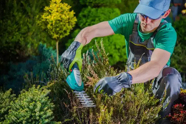 landscaping services Chippewa Lake